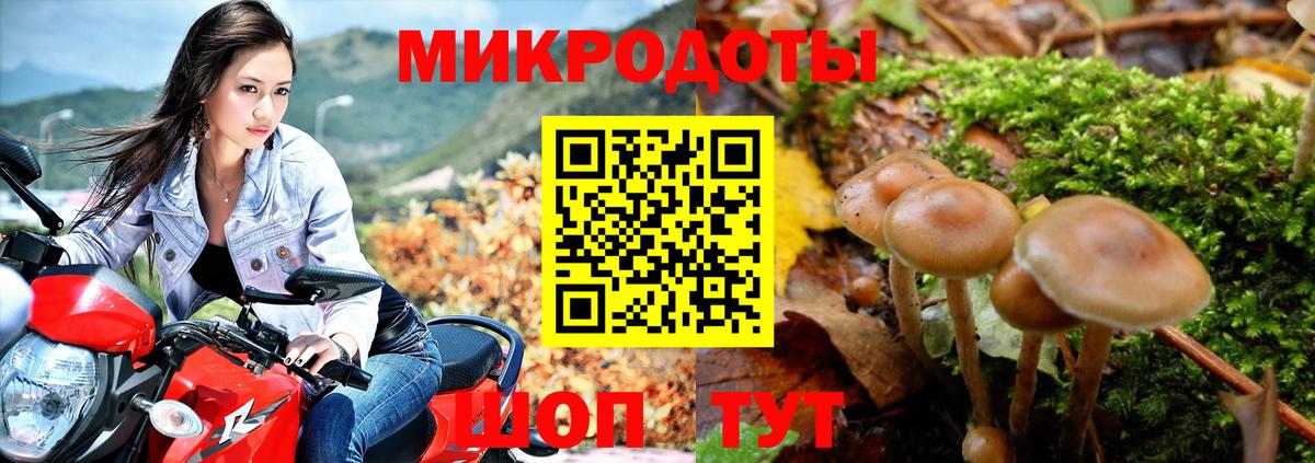 Галлюциногенные грибы Psilocybine cubensis  Вход с VPN  Амурск  Псилоцибиновые грибы Psilocybine cubensis 