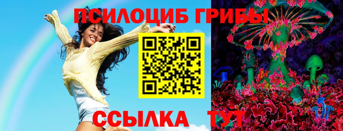 Псилоцибиновые грибы ЛСД Амурск